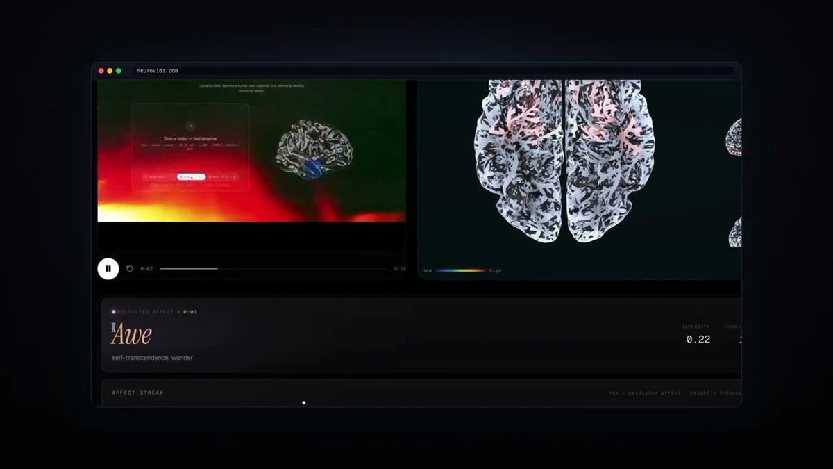 NeuroVidz