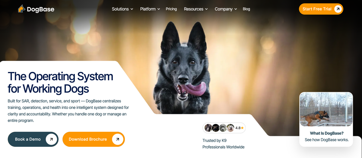 DogBase v2 Official Launch