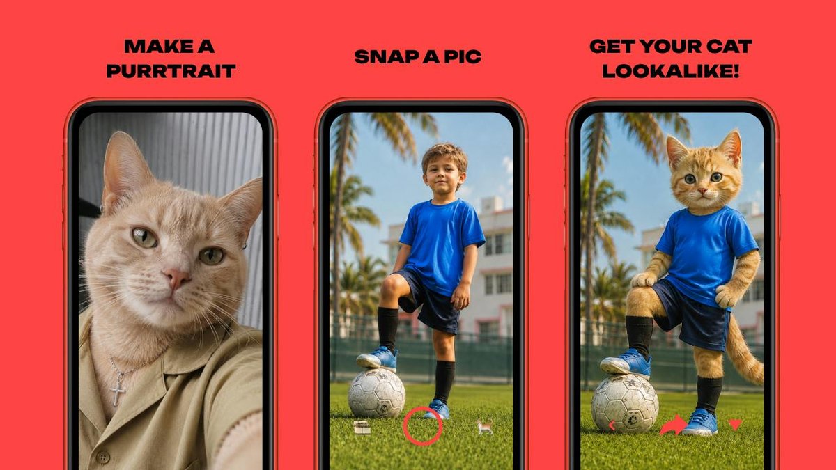 CAT ME app