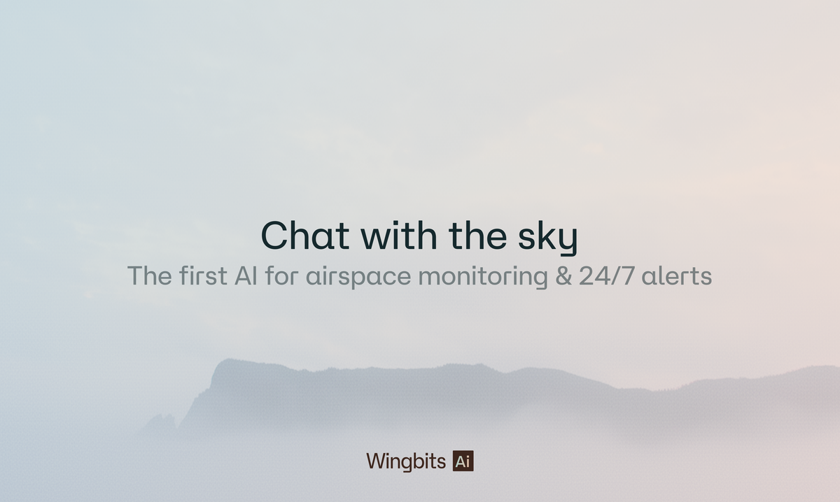 Wingbits AI
