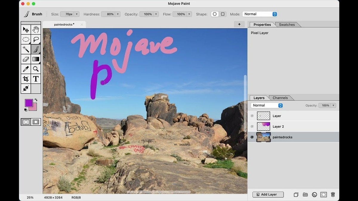 Mojave Paint