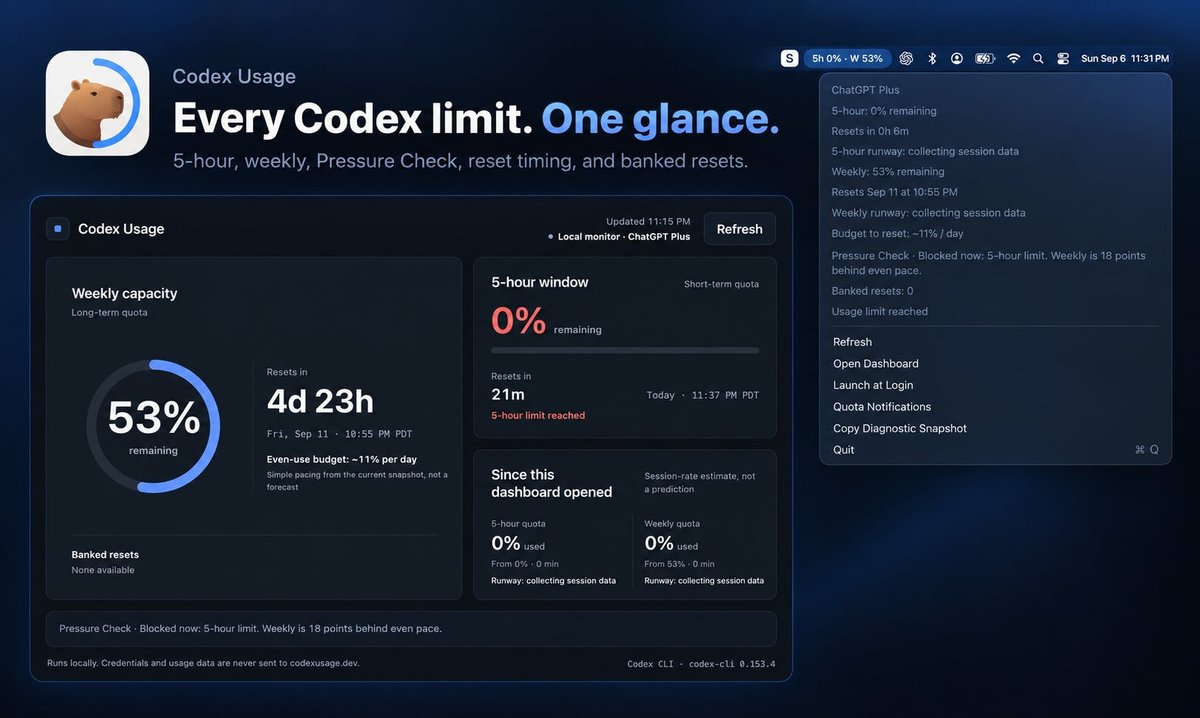 Codex Usage