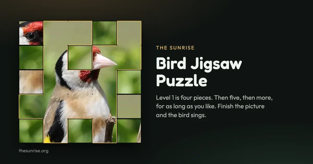 Endless Bird Jigsaw Puzzle