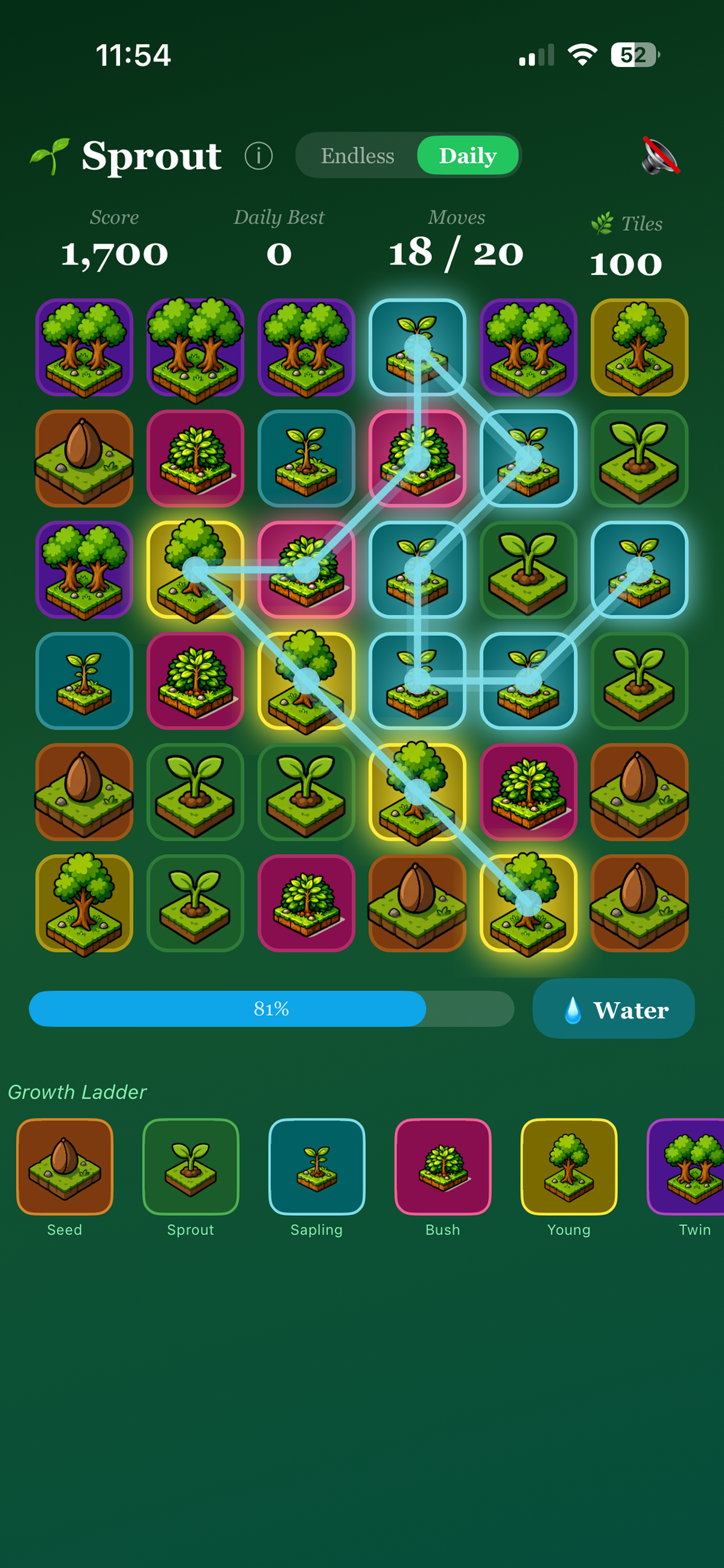 Sprout Puzzle 