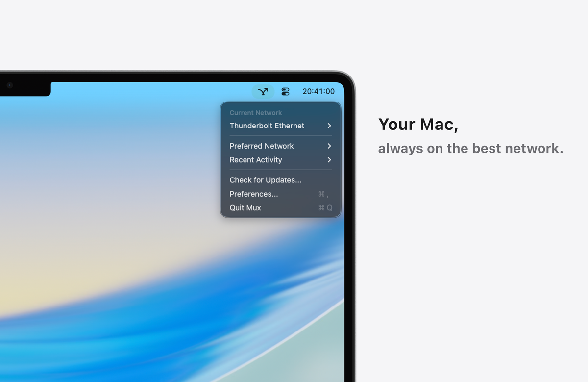 Mux: Auto Network Switch