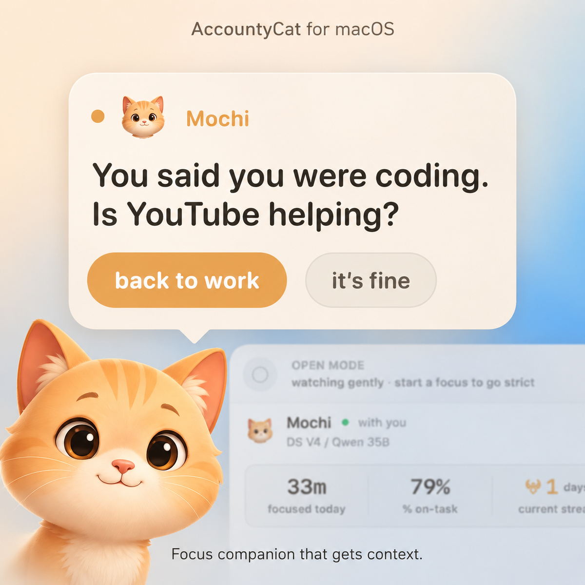 AccountyCat