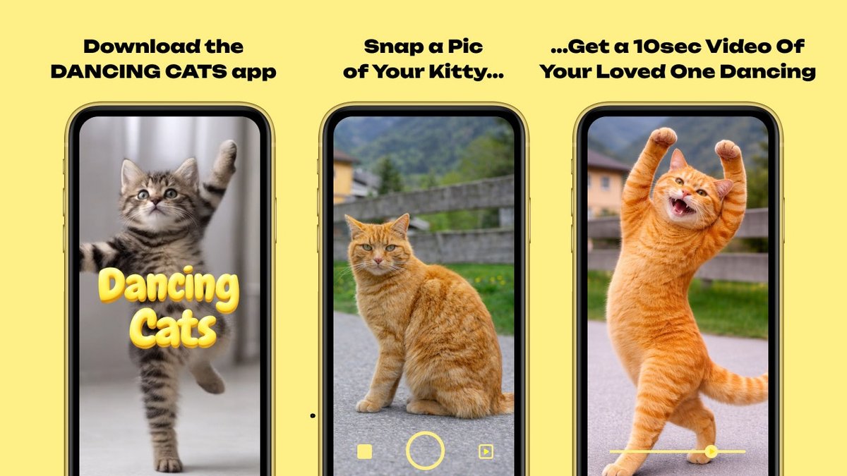 DANCING CATS App