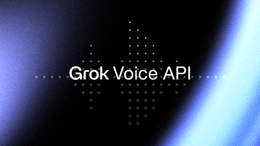 Grok Voice API