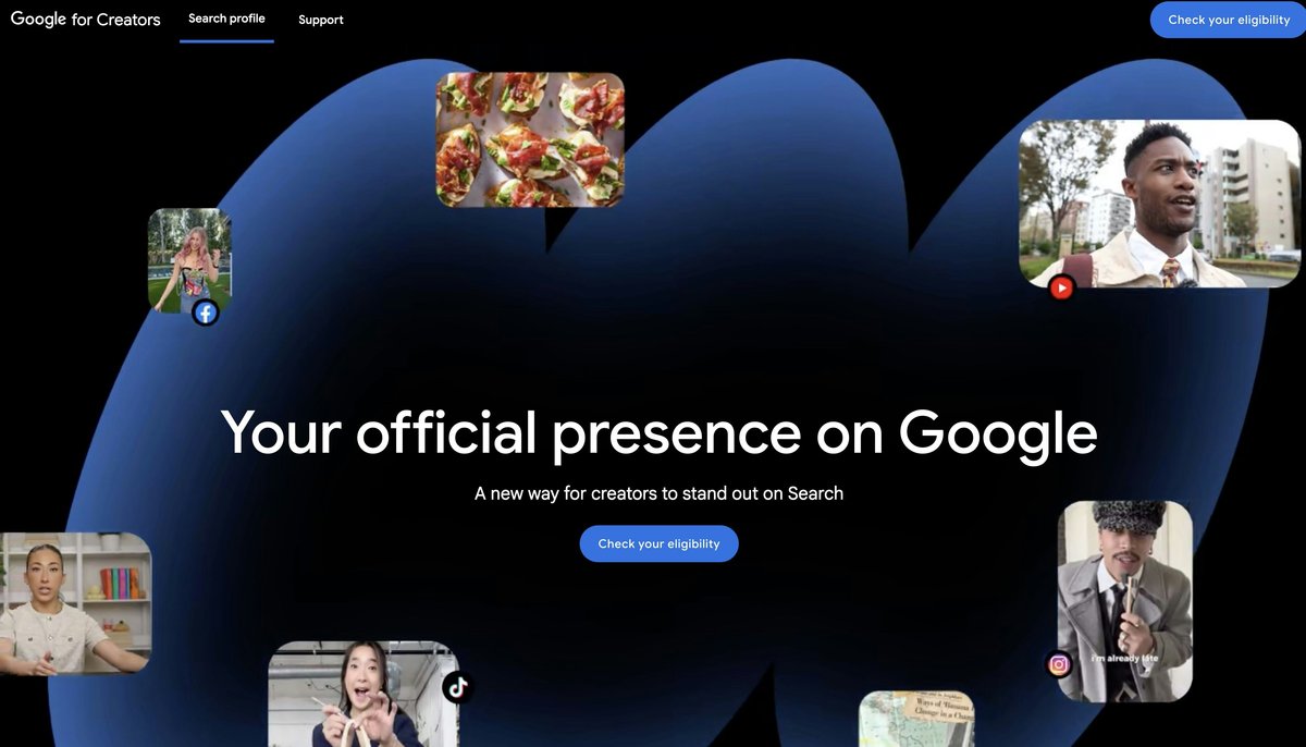 Google Search Profiles