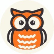 AuditOwl