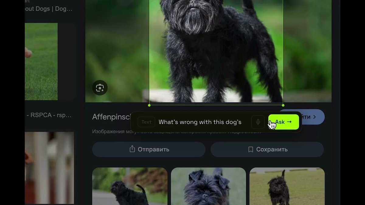  Ludr AI — Understand Any Screen
