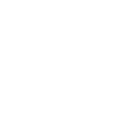 ModuleX icon
