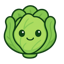 CabbageSEO icon