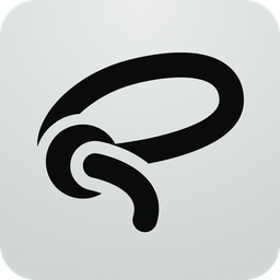 Lasso icon