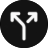CanopyAI icon