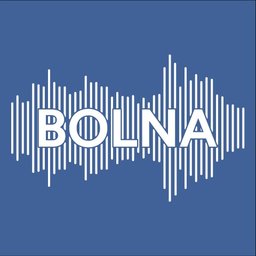 Bolna Agent Studio icon