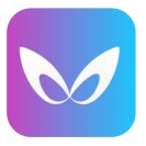 飞影数字人 icon