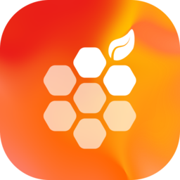 DataBerry icon
