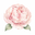 DigiBouquet AI icon