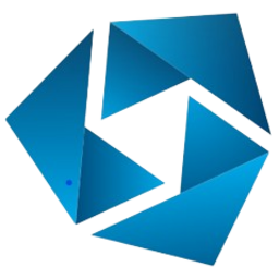 Buggyverse icon