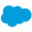 Salesforce icon