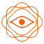Vibeocus Lens icon