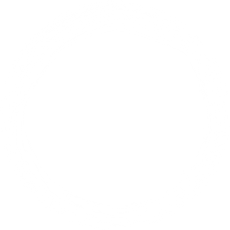 Acti icon