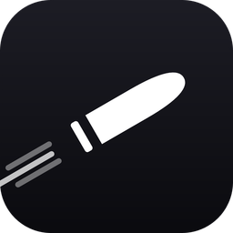 Bullet icon
