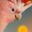 Bird Rise icon