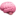 NeuroNest icon
