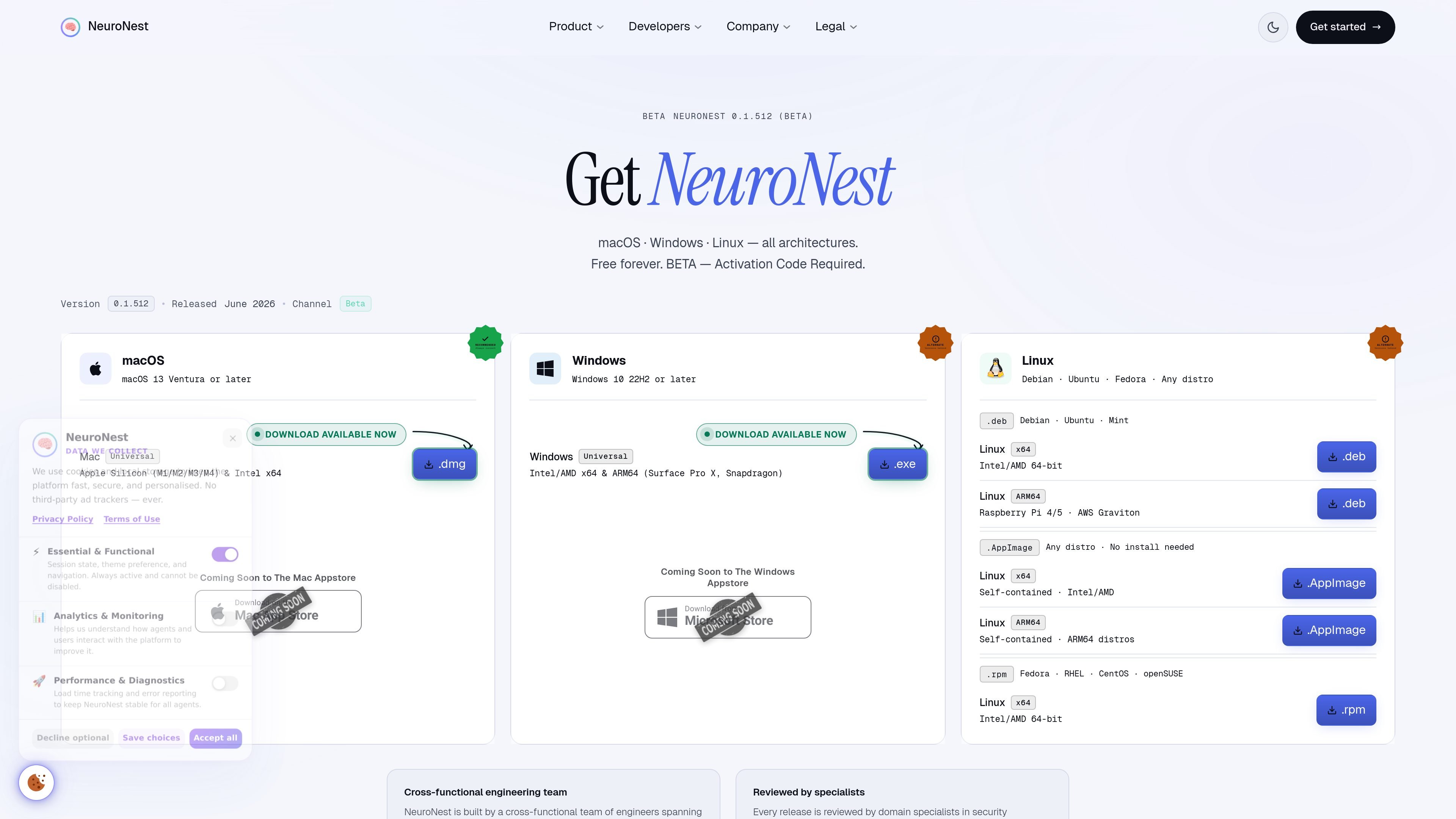 NeuroNest