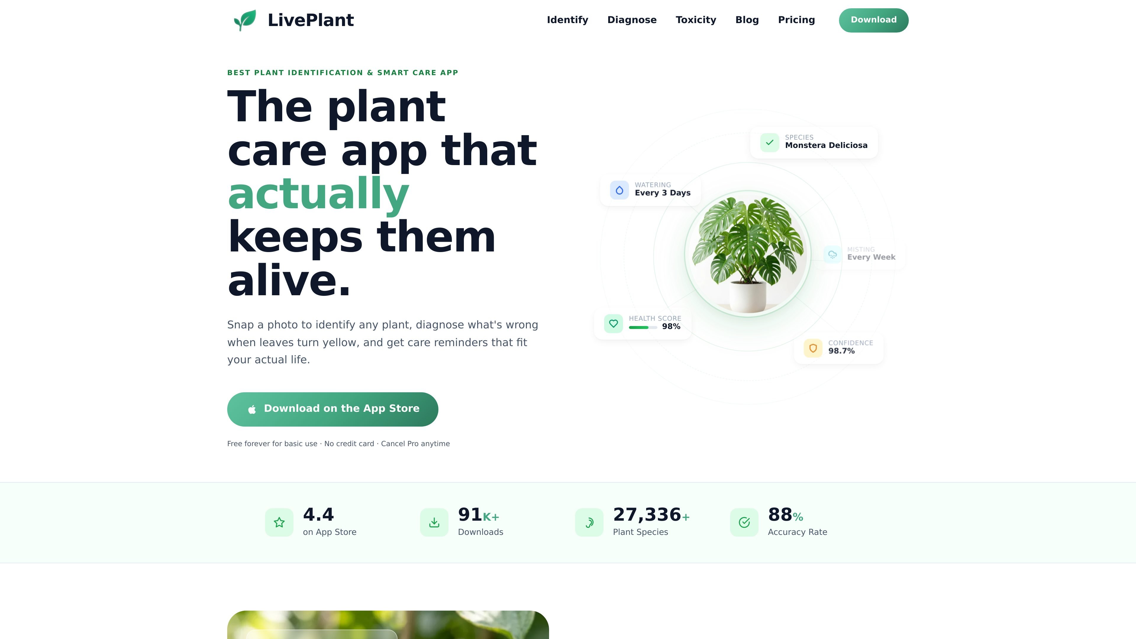 Liveplant