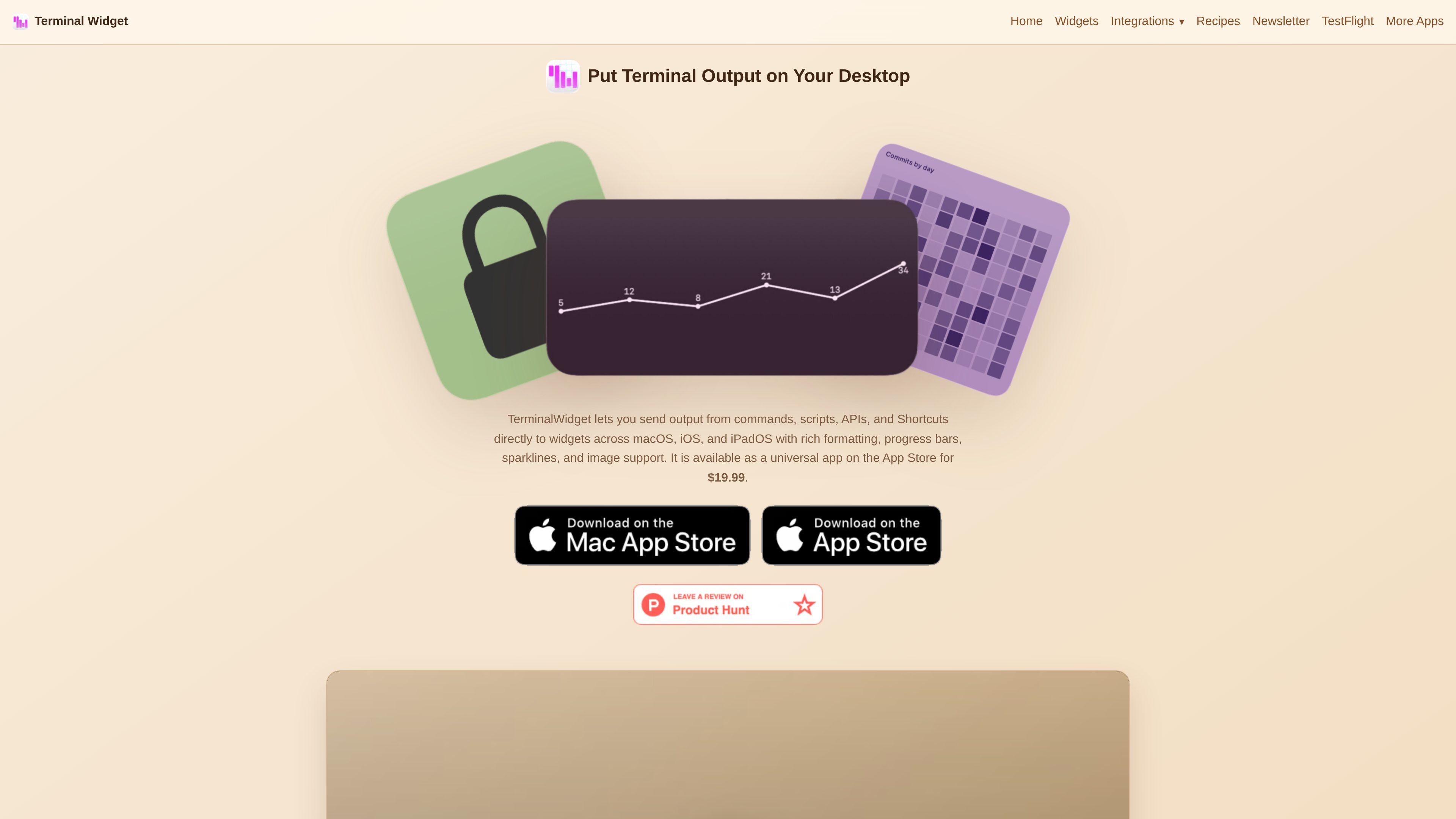 TerminalWidget