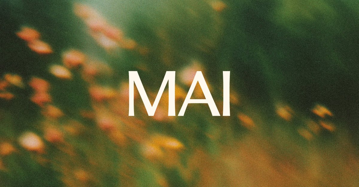 MAI-Image-2.5