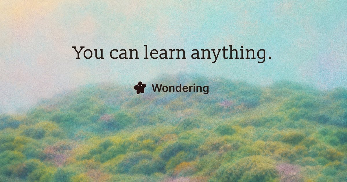 Wondering Canvas