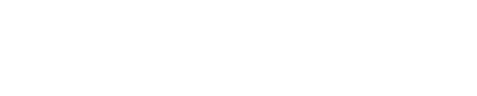 DevSwat