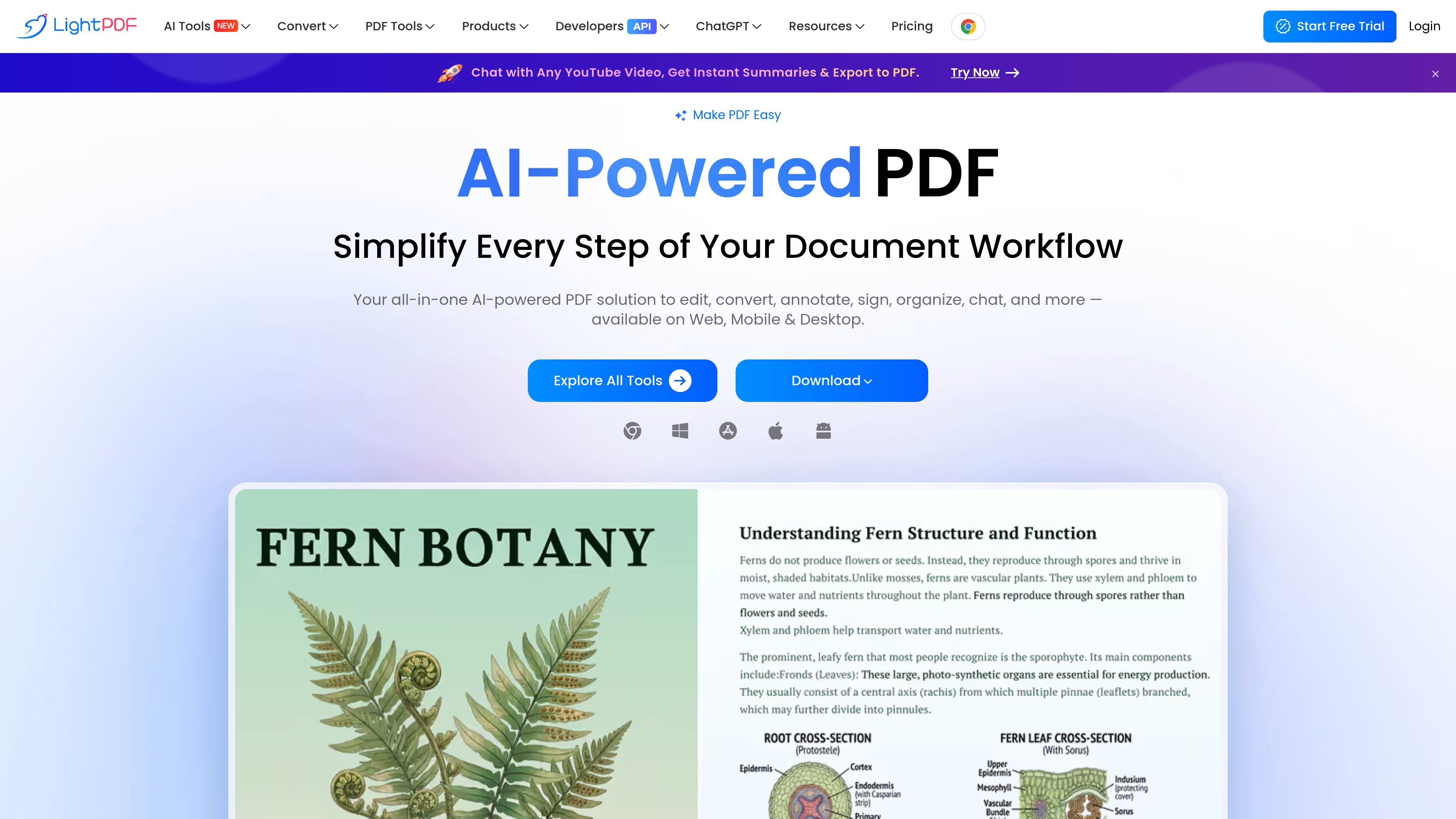 LightPDF