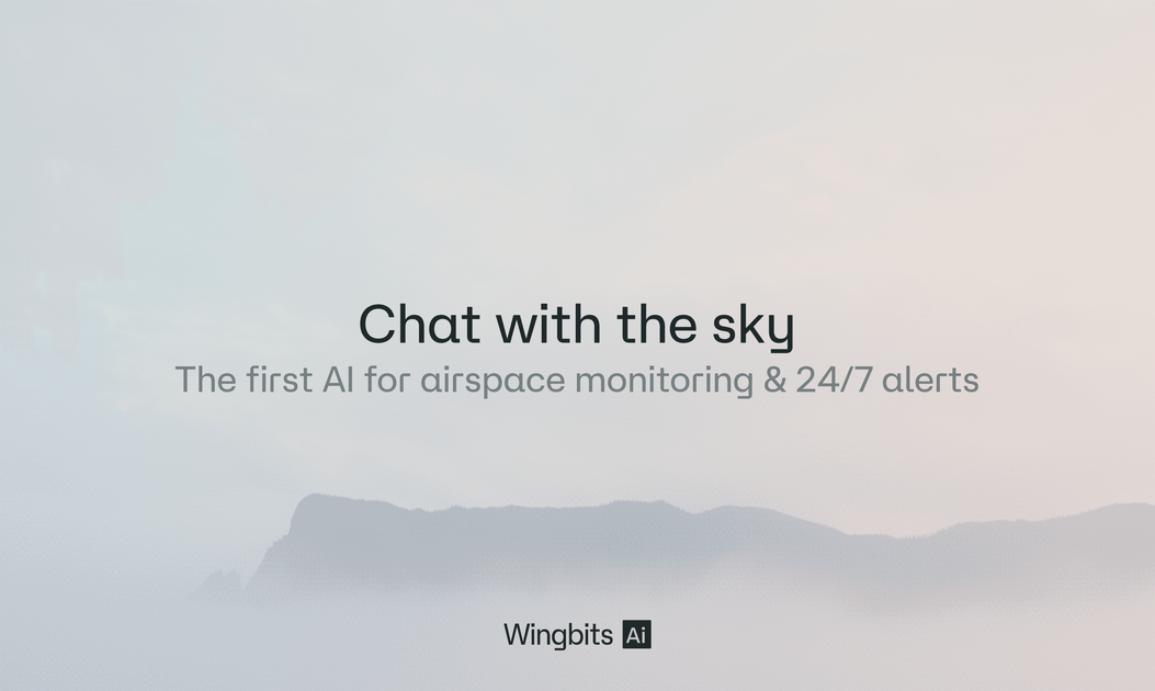 Wingbits AI