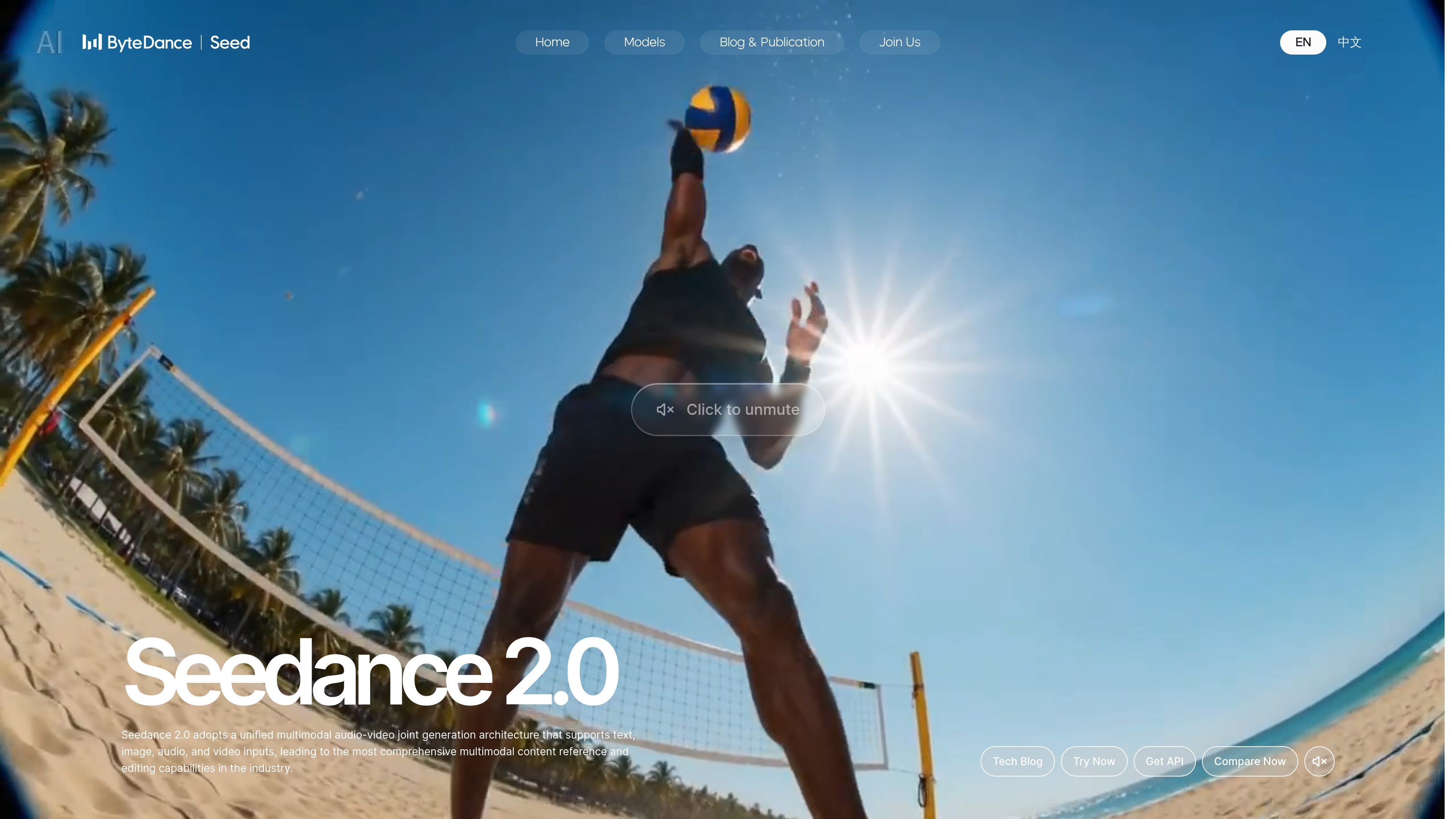 Seedance 2.0