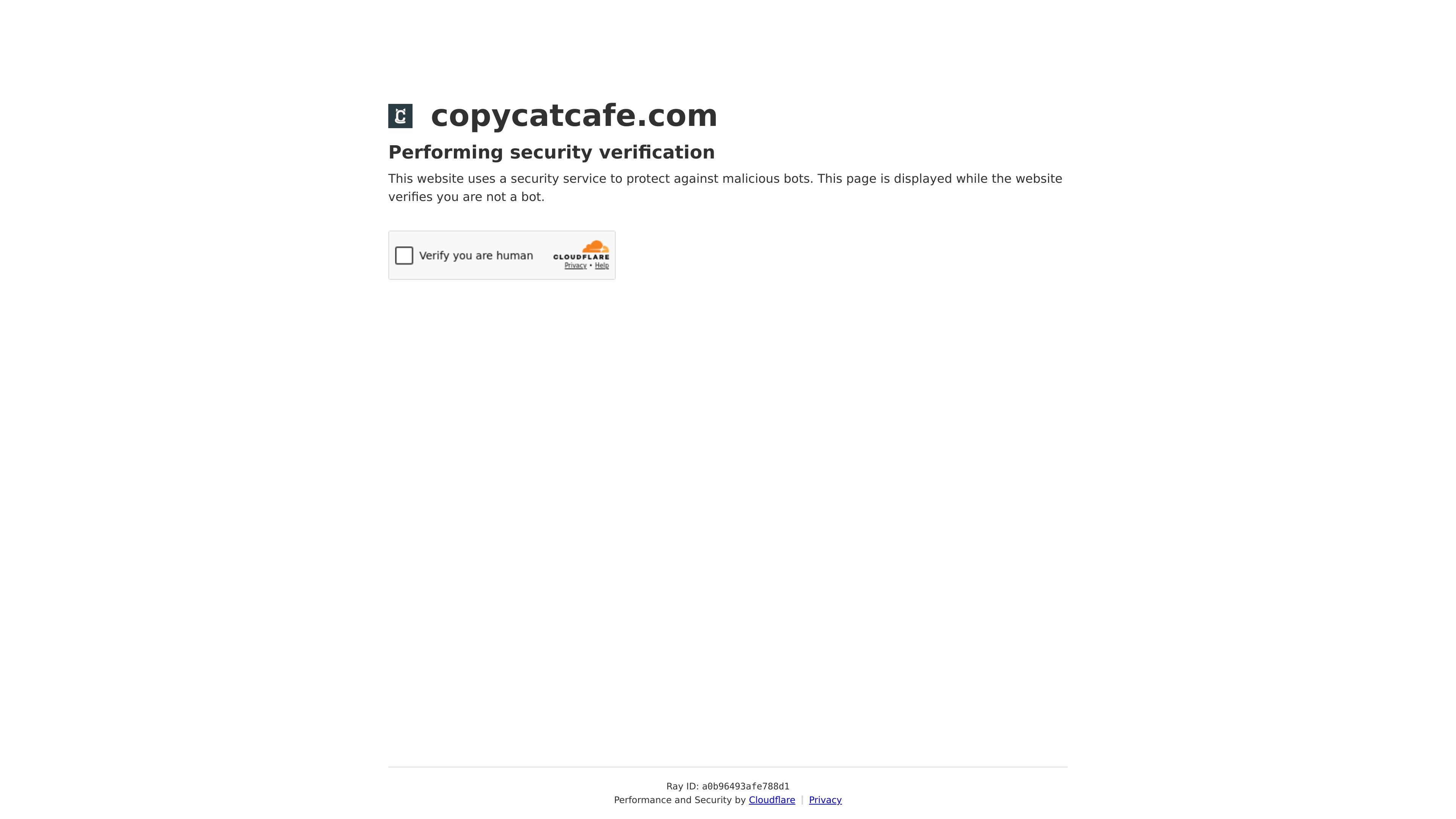 Copycat Cafe