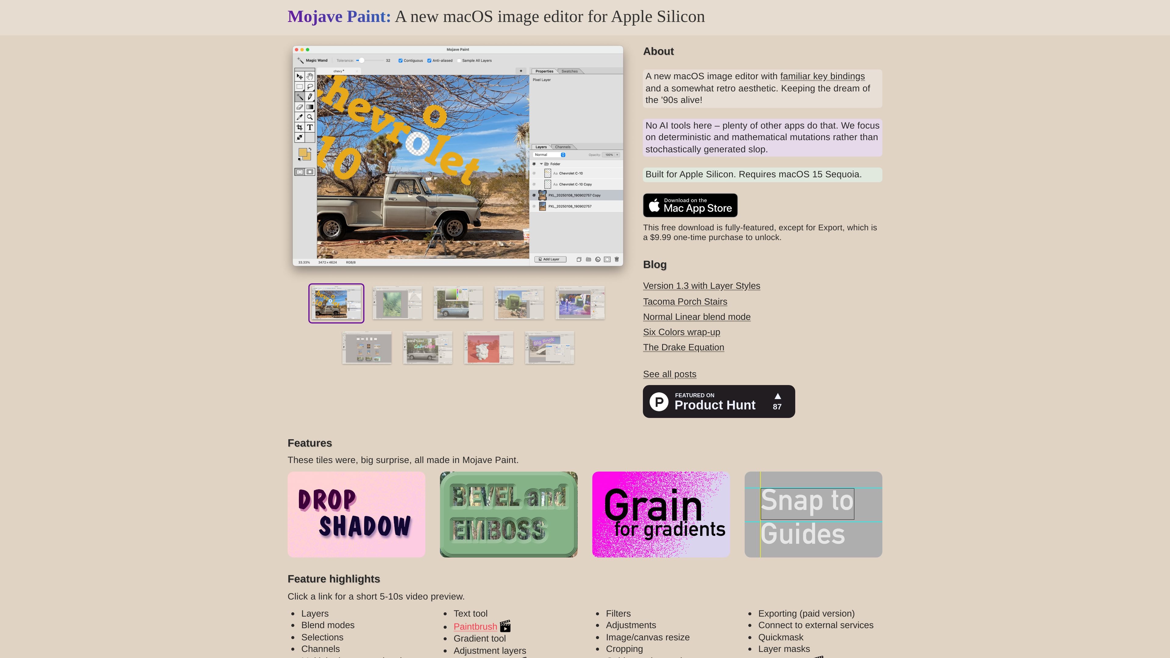 Mojave Paint