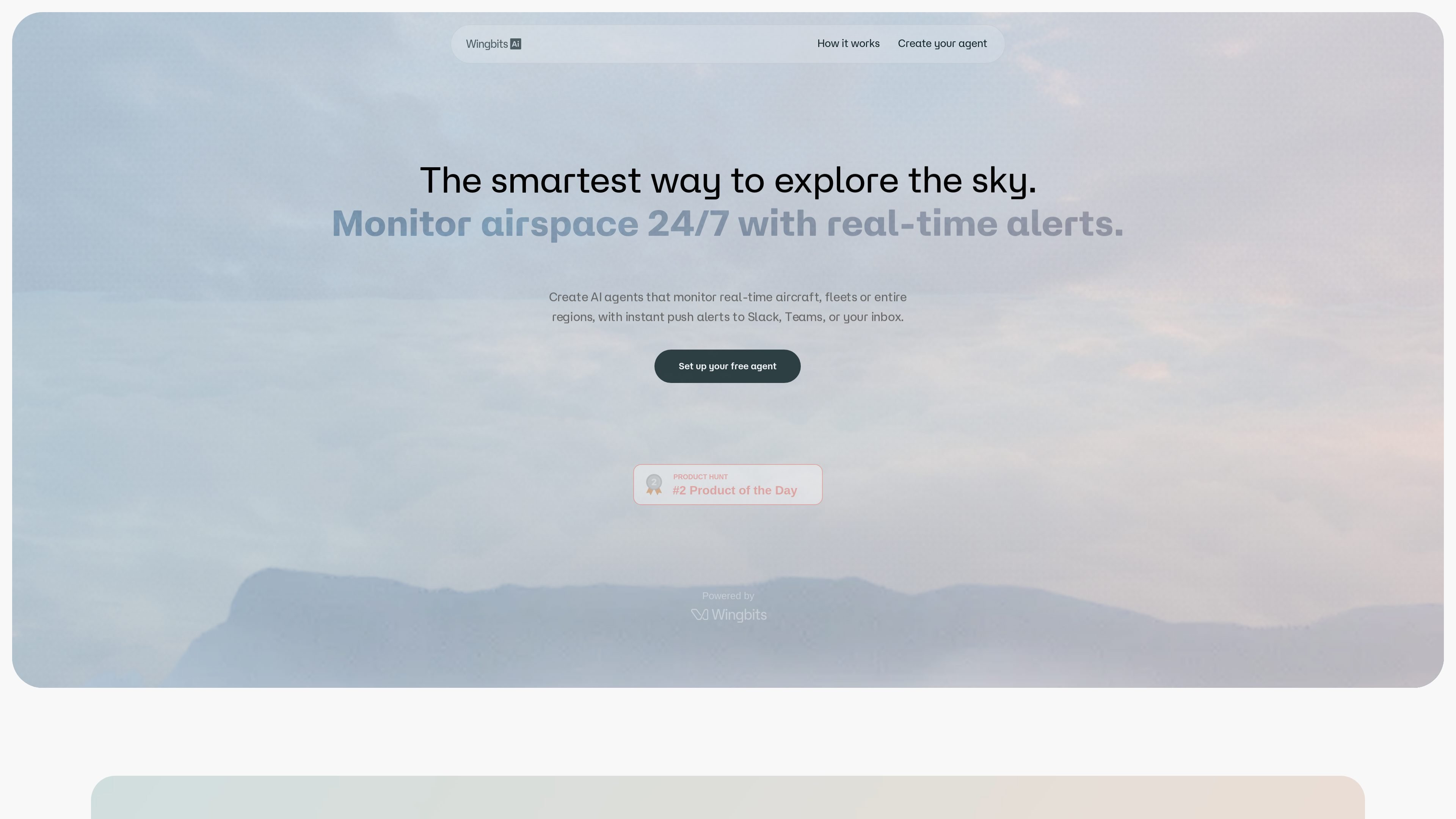 Wingbits AI