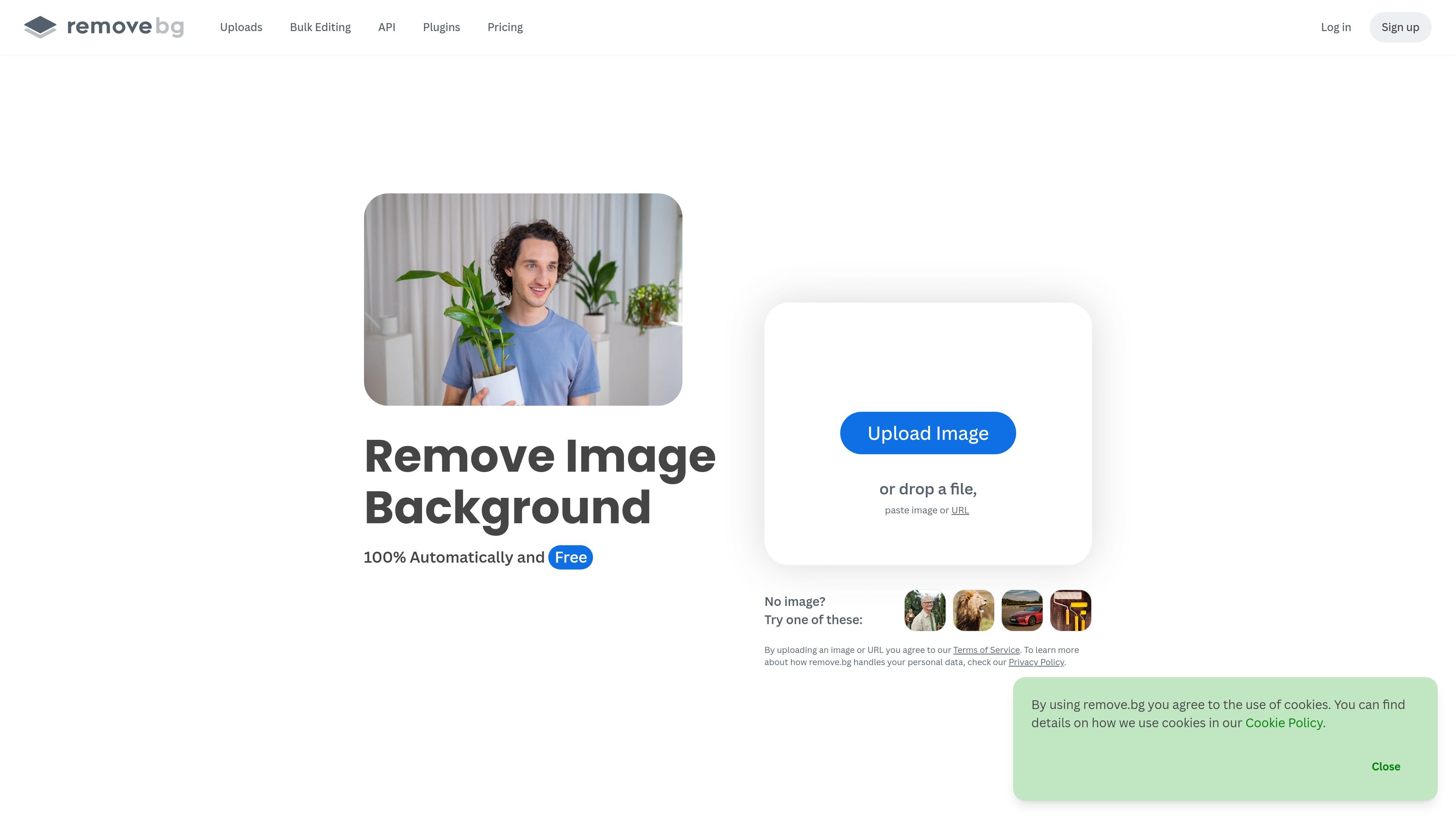 remove.bg
