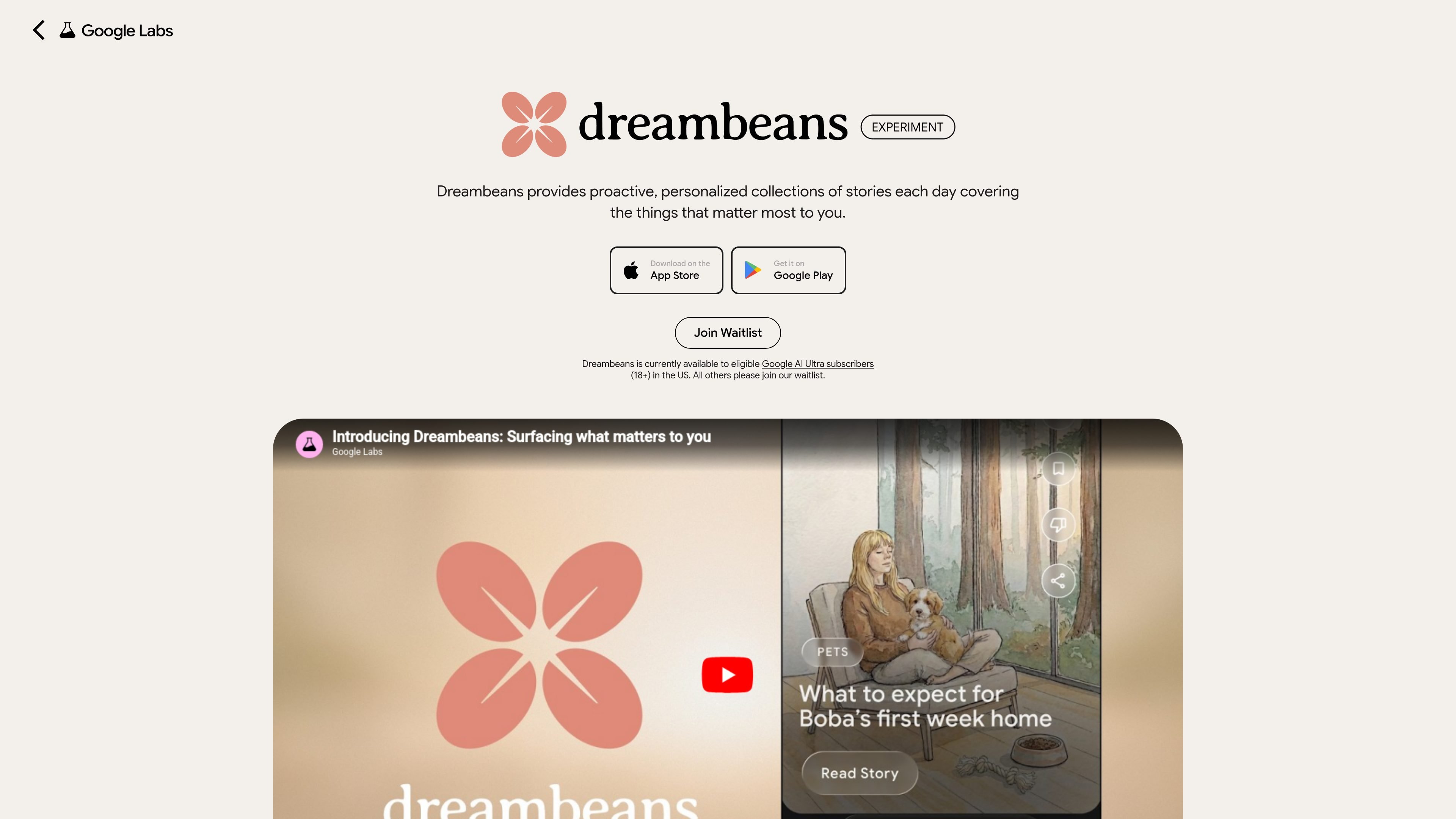 Dreambeans