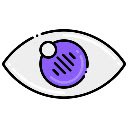 Privacy Shield