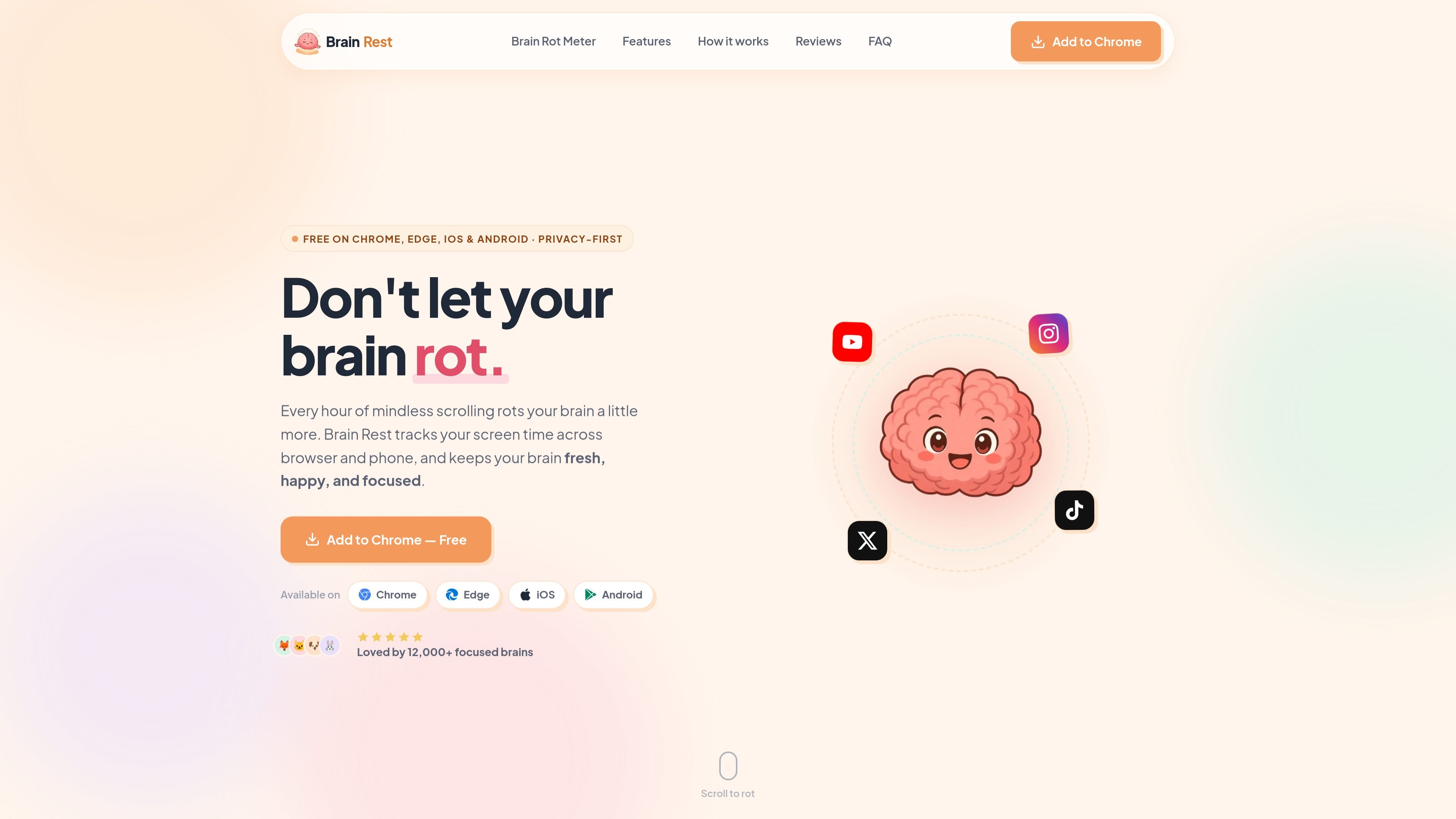 Brain Rest