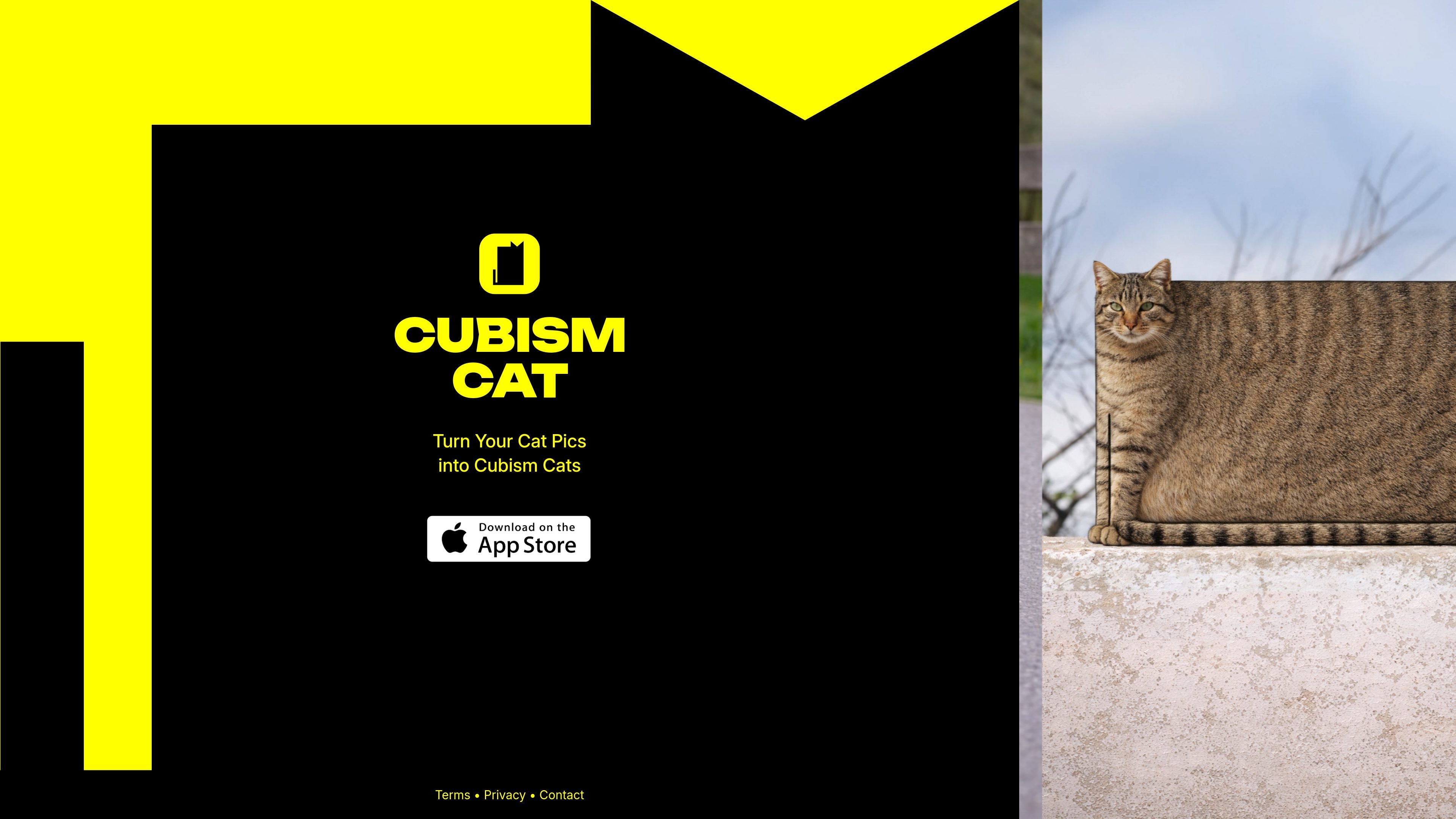 CUBISM CAT