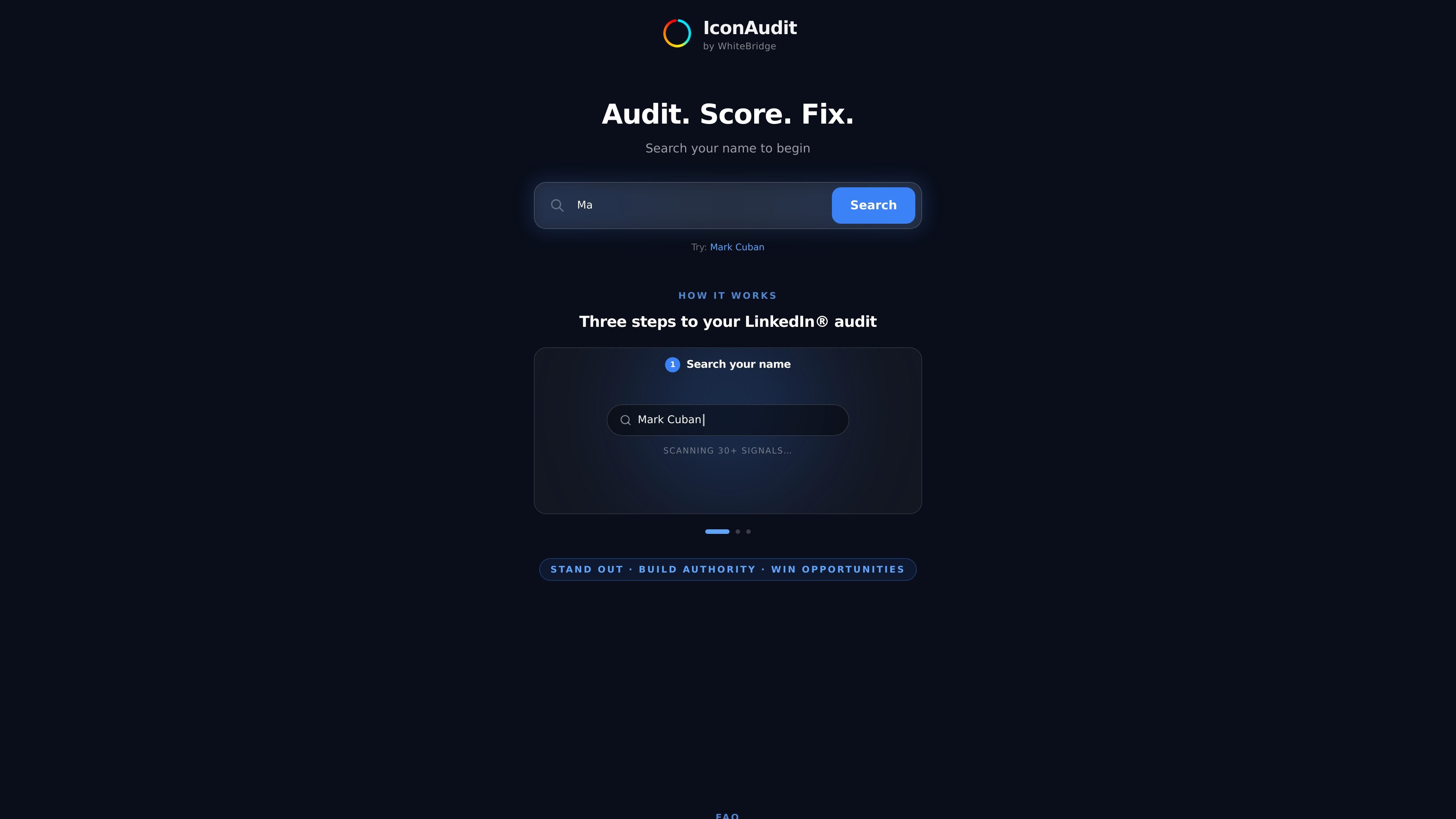 IconAudit