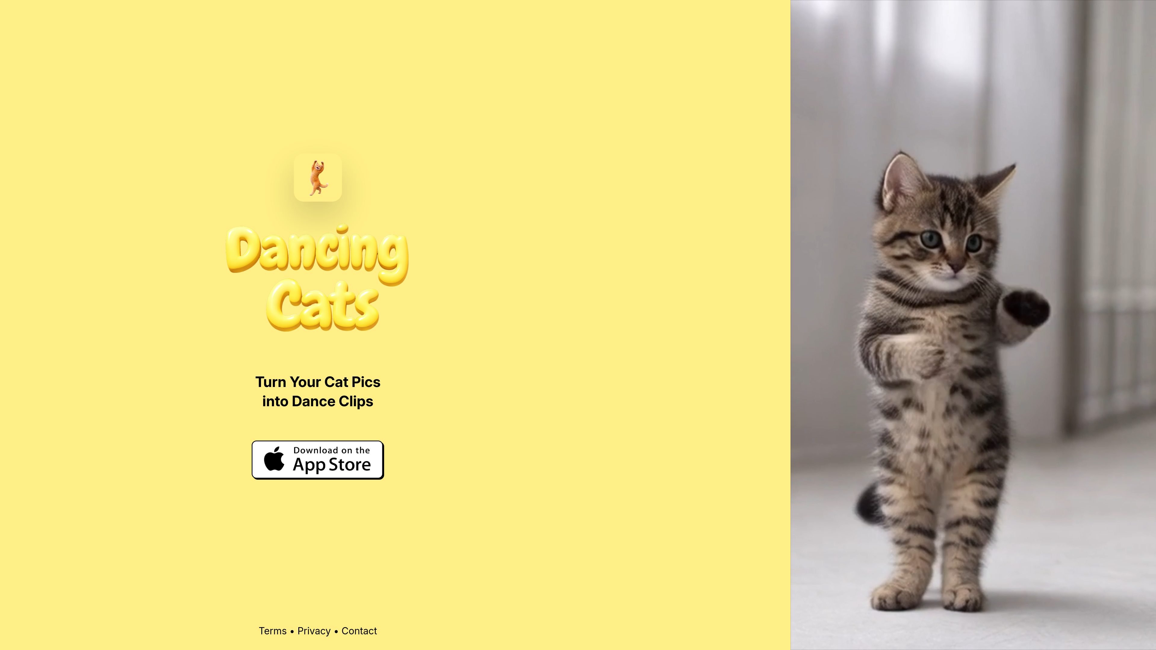 DANCING CATS App